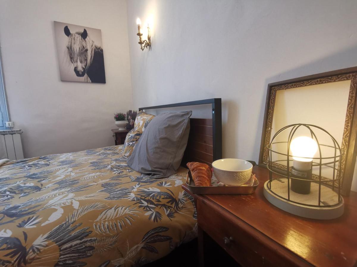 La Taniere 16 Couchages Villa Vergèze Eksteriør billede