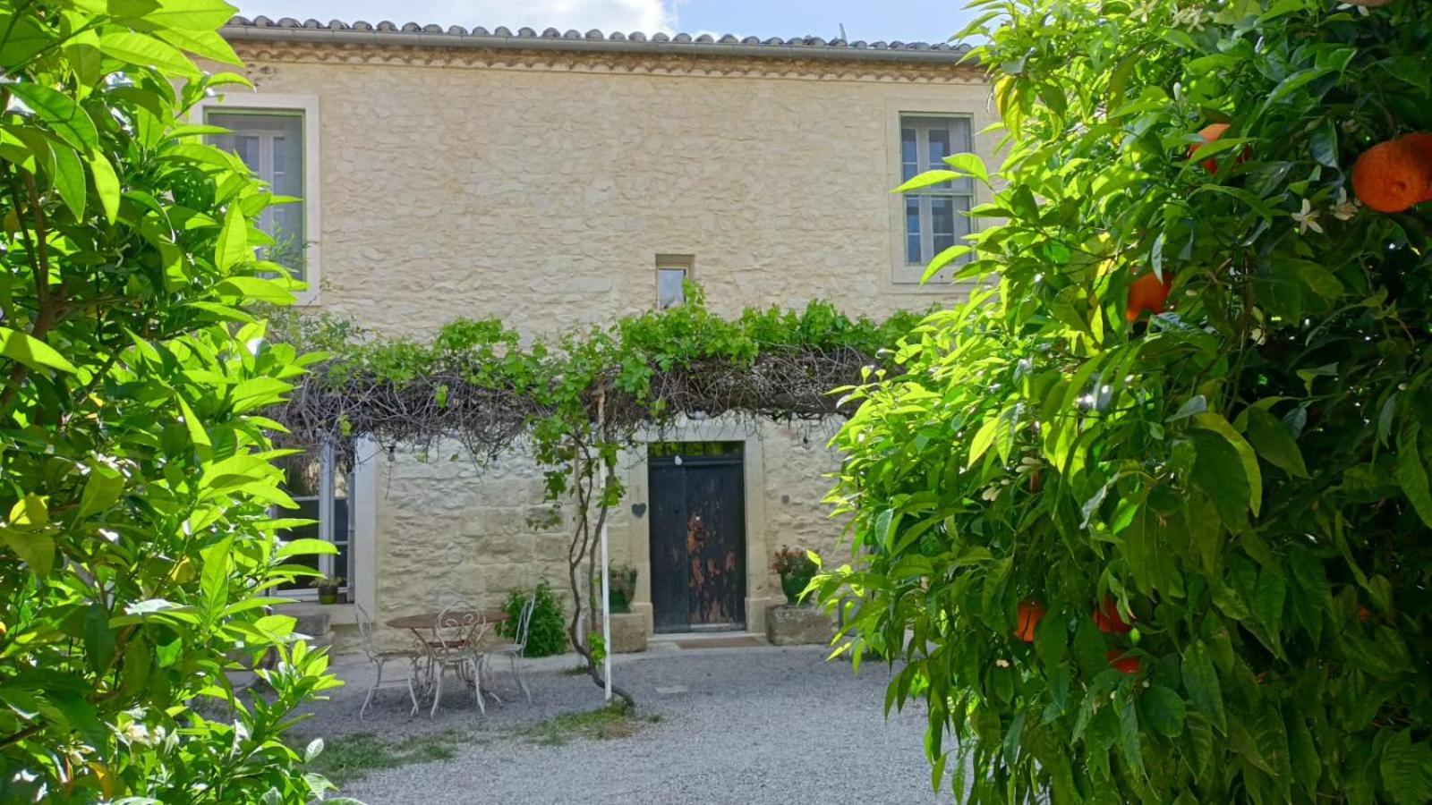 La Taniere 16 Couchages Villa Vergèze Eksteriør billede